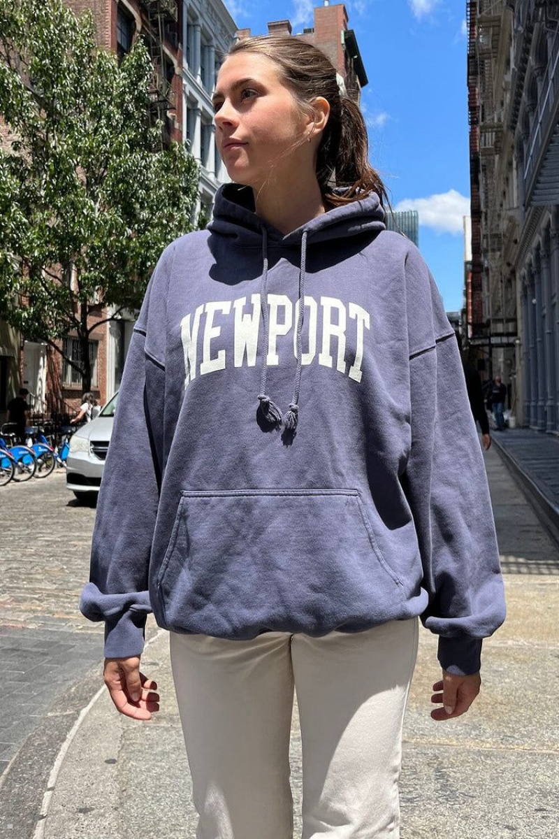 Sweat a Capuche Brandy Melville Christy Newport Bleu Marine | DLG-71733585